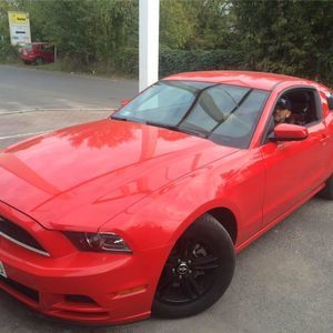 Meet your Posher, Alex